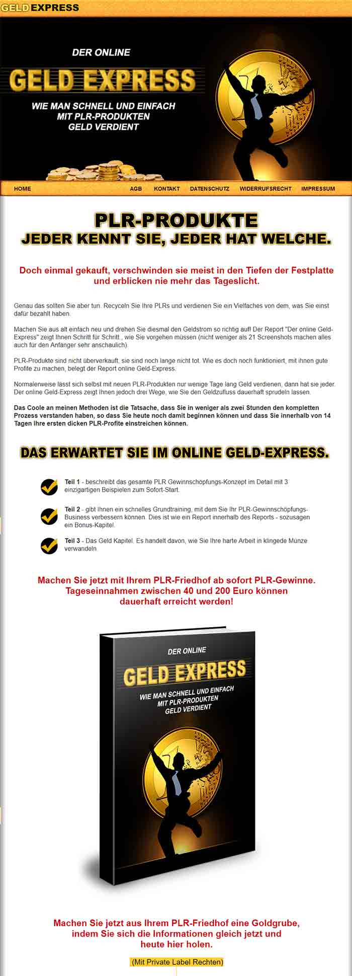 Der online Geld Express