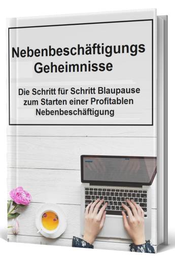 Nebenbeschäftigungs Geheimnisse - PLR Komplettpaket