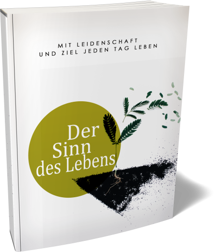 Der Sinn des Lebens  -  PLR Komplettpaket