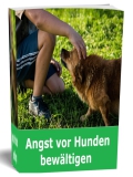 Angst vor Hunden bewältigen - eBook ohne Verkaufsseite - PLR