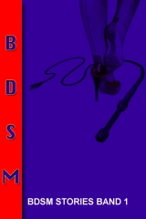 BDSM Storys Vol. 1  mit MRR